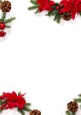 Christmas decoration. Frame of flowers of red poinsettia, branch christmas tree, pine cones, ball, red berries on a white Royalty Free Stock Photo