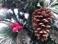 Christmas decoration green fine leaf of pine and brown cone with