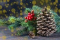 Christmas Decoration greeting card- Snowy Pine Cones On Fir Branch With Christmas Lights Royalty Free Stock Photo