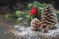 Christmas Decoration greeting card- Snowy Pine Cones On Fir Branch With Christmas Lights Royalty Free Stock Photo