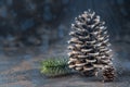 Christmas Decoration greeting card- Snowy Pine Cones On Fir Branch With Christmas Lights Royalty Free Stock Photo