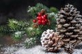 Christmas Decoration greeting card- Snowy Pine Cones On Fir Branch With Christmas Lights Royalty Free Stock Photo