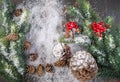 Christmas Decoration greeting card- Snowy Pine Cones On Fir Branch With Christmas Lights Royalty Free Stock Photo