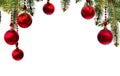 Christmas decoration. Hanging red balls on christmas tree on a white background with space for text Royalty Free Stock Photo