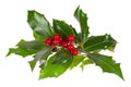 Christmas decoration with holly Royalty Free Stock Photo