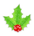 Christmas decoration holly berry branches Royalty Free Stock Photo