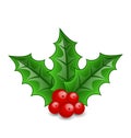 Christmas decoration holly berry branches isolated Royalty Free Stock Photo