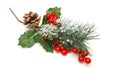 Christmas decoration of holly berry and pine cone Royalty Free Stock Photo