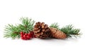 Christmas decoration of holly berry and pine cone Royalty Free Stock Photo