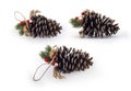 Christmas decoration of holly berry and pine cone isolated on white, Clipping path included Royalty Free Stock Photo