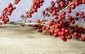 Christmas decoration ilex verticillata or winterberry holly Royalty Free Stock Photo