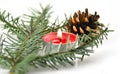 Christmas decoration, Christmas, landscape, red Royalty Free Stock Photo
