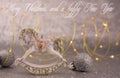 christmas decoration ornament on silver  background Royalty Free Stock Photo