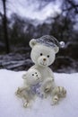 Funny Christmas Teddybears standing on Snow