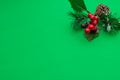 Christmas decoration pine branch in snow and pine cone on green background. Royalty Free Stock Photo