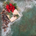 Christmas decoration Pine branches red flowers poinsettia snow