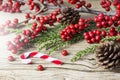 Christmas decoration of pine cone and red winterberry Royalty Free Stock Photo