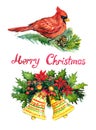 Christmas decoration with pine tree branches, berries, bells, holly, Cardinal bird and handwritten Merry Christmas