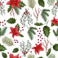 Christmas decoration plants seamless pattern Royalty Free Stock Photo