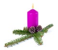 Christmas decoration - purple burning candle, spruce branch and cones isolated on white background with shadow reflection. Royalty Free Stock Photo