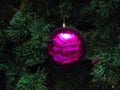 Christmas decoration. Raspberry glass ball