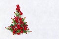 Christmas decoration. Red christmas tree made out of red berries and small red apples on snow with space for text Royalty Free Stock Photo