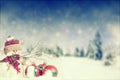 Christmas decoration with Santa Claus figurine in the snow Royalty Free Stock Photo