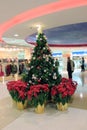 Christmas, decoration, tree, flower, plant, floristry, holiday, decor, floral, design, fir