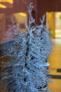 Christmas decoration and snow flakes on plant