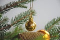 Christmas decoration on a spruce branch, the concept of a New Year's card Royalty Free Stock Photo