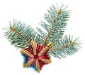 Christmas decoration star on fir branch