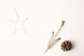Christmas decoration, star with pinnace, conifer twig and pine cone