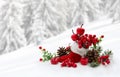 Christmas decoration. Stocking with red berries and apples, twigs christmas tree, cones pine on snow in fir forest Royalty Free Stock Photo