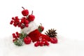 Christmas decoration. Stocking with red berries and apples, twigs christmas tree, cones pine on snow with space for text Royalty Free Stock Photo
