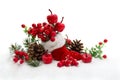 Christmas decoration. Stocking with red berries and apples, twigs christmas tree, cones pine on snow with space for text Royalty Free Stock Photo