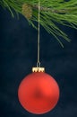 Christmas Decoration on a tree Royalty Free Stock Photo