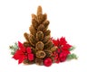 Christmas decoration. Christmas tree of cones spruce, flower of red poinsettia Euphorbia pulcherrima, branch christmas tree, Royalty Free Stock Photo