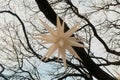 Christmas decoration on a tree in the form of a snowflake