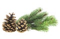 Christmas decoration - two pine cones with fir tree branch isolated on white background Royalty Free Stock Photo