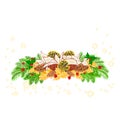 Christmas decoration white poinsettia with various pine cones vector