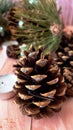 Christmas decorations background, Christmas set, Christmas fir free, wood and pinecone, candles Royalty Free Stock Photo