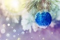 Christmas decorations.Blue decorations Christmas ball hanging from the edge of an evergreen pine branch on a delicate background Royalty Free Stock Photo
