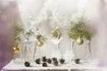 Christmas decorations on a branch of tree in glass vases Royalty Free Stock Photo