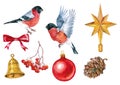 Christmas decorations and bullfinches watercolor on white background.