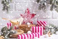 Christmas decorations Royalty Free Stock Photo