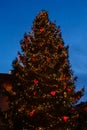 Christmas decorations on festive fir tree on main square of Tallinn, Estonia Royalty Free Stock Photo