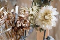 Christmas decorations - flowers on blurred background. Abstract christmas backdrop. Selective focus. Royalty Free Stock Photo