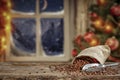 Christmas decorations and fresh coffee beans in jute sack with blurred christmas tree and sowy night window background. Royalty Free Stock Photo