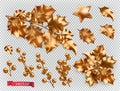 Christmas decorations. Golden holly 3d vector icon set