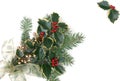 Christmas decorations with holly berries